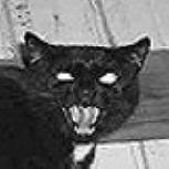 Mad Cat